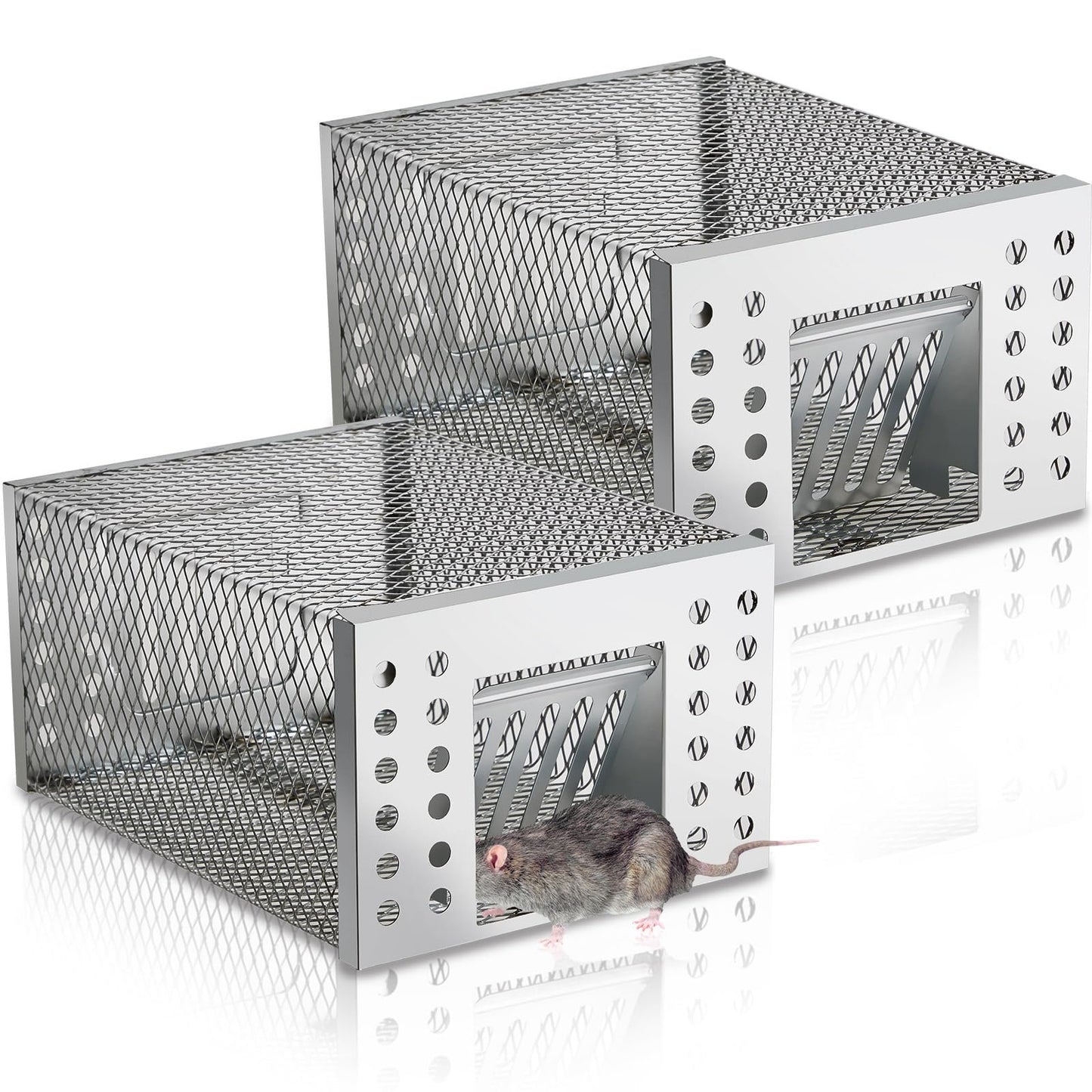 Humane Live Catch & Release Mouse Trap
